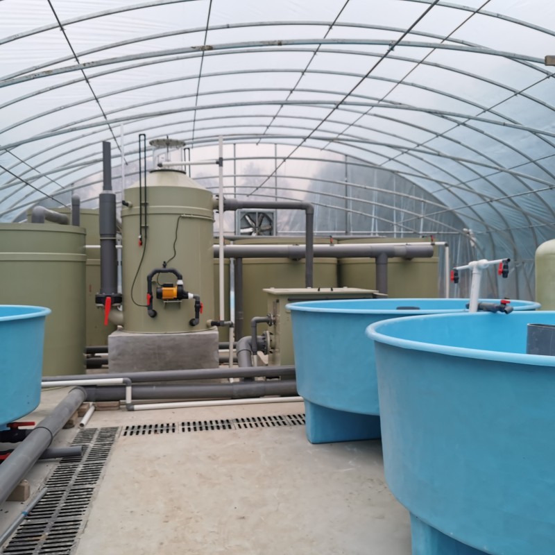工厂化循环养殖系统