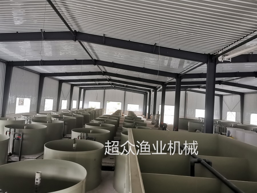 工厂化循环养殖系统