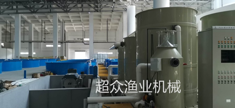 工厂化循环养殖系统
